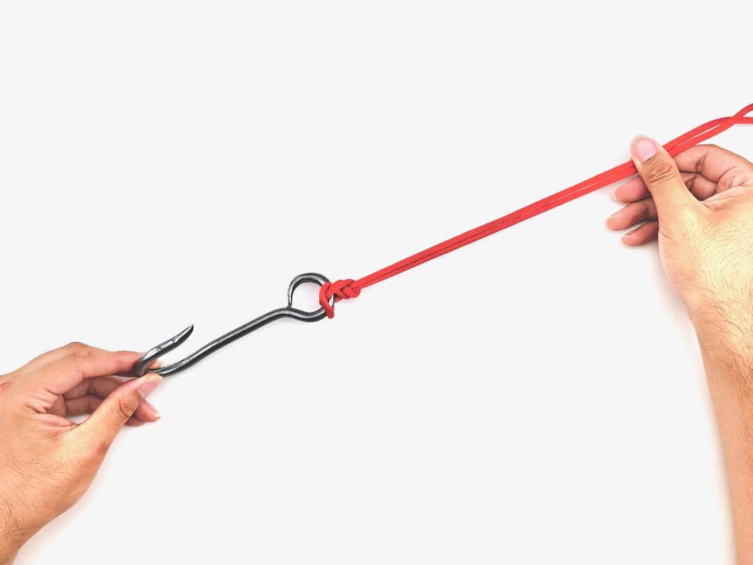 Step 5 of tying the Palomar Knot knot - detailed visual instruction