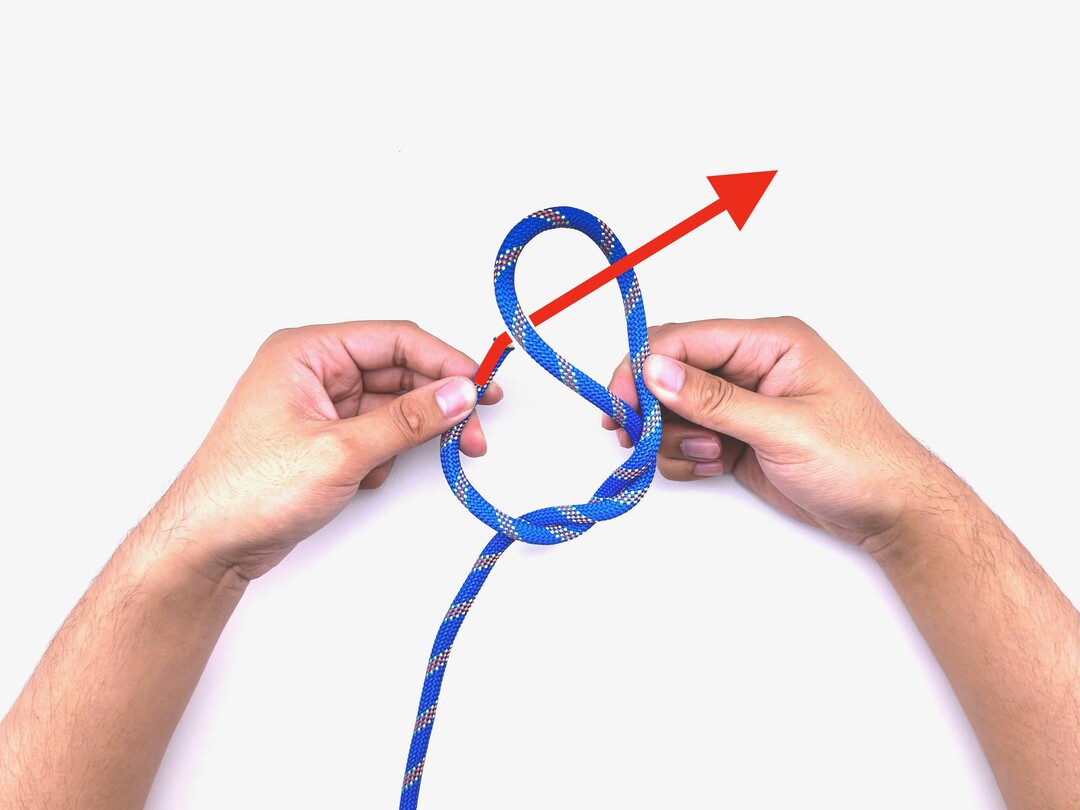 Step 6 of tying the Stevedore Knot knot - detailed visual instruction